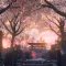 Sakura Torii Gate Cherry Blossom Live Wallpaper