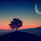 Morning Breeze View a Tree on the Hill 4K Live Wallpaper