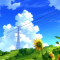 Summer Day Sunflower Anime Live Wallpaper