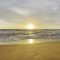 Summer Beach Live Wallpaper