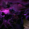 Swirling Nebula Live Wallpaper