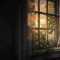 The Last of Us Live Wallpaper