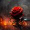 Red Rose in the Fire Live Wallpaper