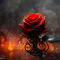 Red Rose in the Fire Live Wallpaper